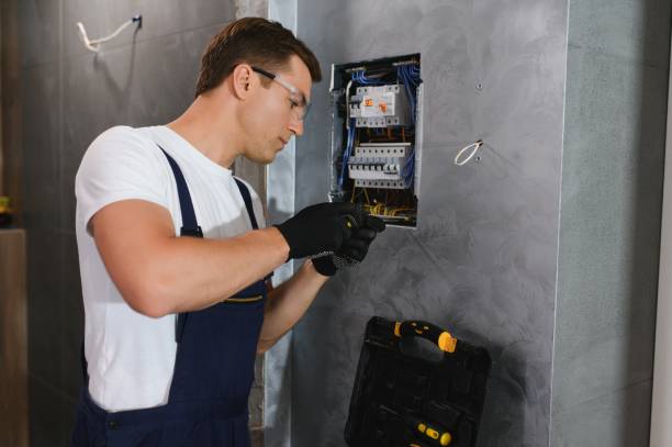 Best Electric Panel Repair  in Deerwood, TX